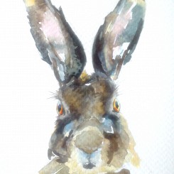 Hare1
