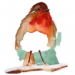 Robin
