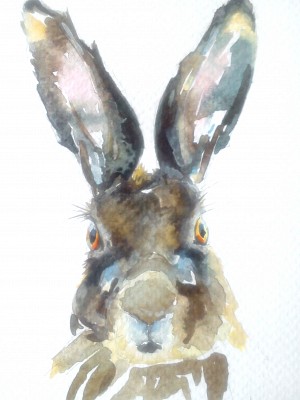 Watercolours